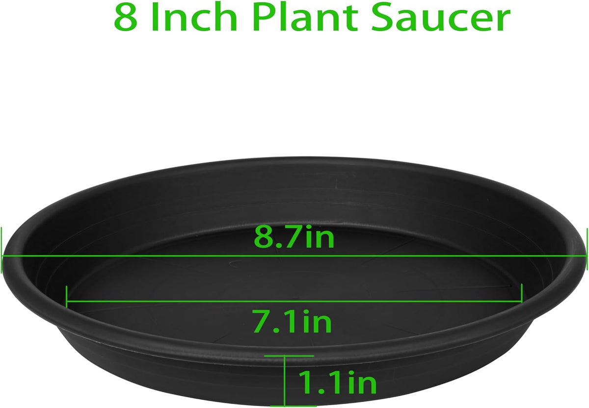 6 Pack Plant Saucer 8 inch, Heavy Duty Plastic Plant Water Tray, Planter Saucers, Flower Pot Tray, Planter Tray, Bird Bath Bowls, Water Trays for Plant Pots 7"/8" (Black)