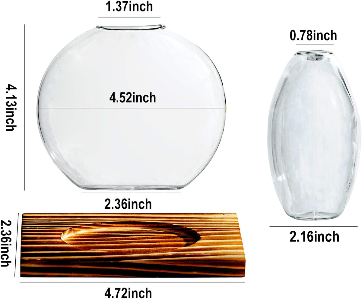 Glass Planter Propagation Station with Wooden Base - Clear Oblate Hydroponic Vase, Decorative Desktop Flower Vase for Home, Office, Windowsill - Gift for Plant Lovers (4)