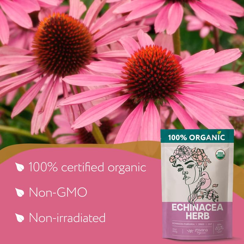 Organic Echinacea Herb (4 oz.) - Equinacea Organica - Echinacea Purpurea Loose Leaf Tea - Immunity, Respiratory System, Digestion