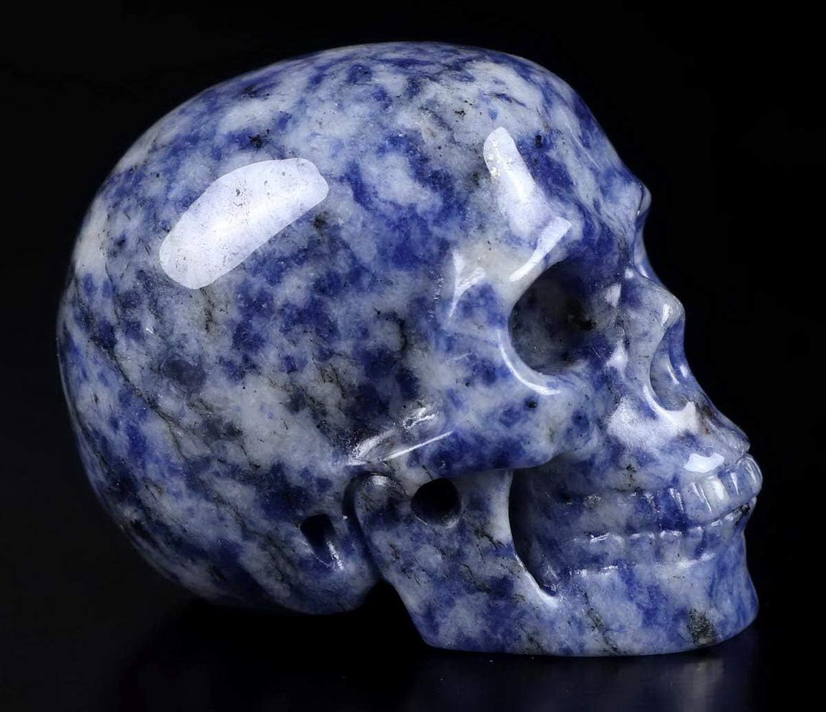 Skullis 2.0" Blue Speckled Sodalite Crystal Skull, Hand Carved Gemstone Fine Art Sculpture, Reiki Healing Stone Statue.