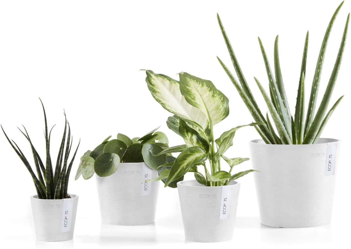 Ecopots Amsterdam Mini Durable Modern Round Recycled-Based Composite Flower Pot Planter, Pure White, 4"