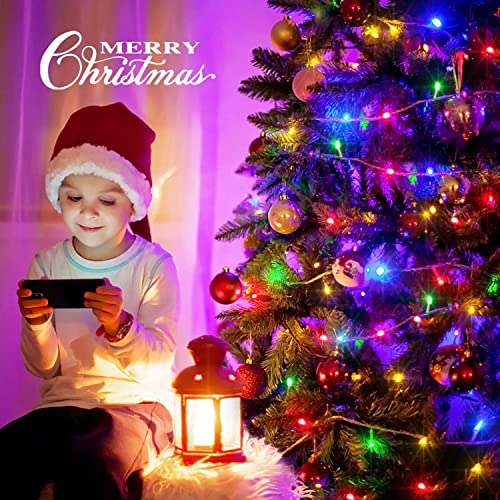 163ft 500 LED Multicolor Christmas Lights Outdoor Waterproof (163 Foot)