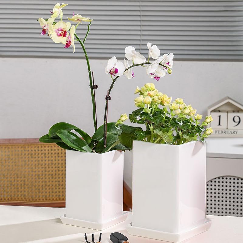 Square Plant Saucer 14 Inch 1 Pack，Plant Trays for Pots, White Ceramic Plant Saucers for Indoors Outdoors, Plant Drip Tray 4 6 8 10 12 14 Inch