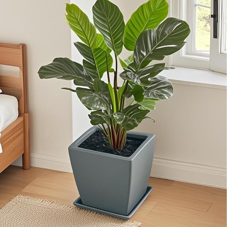Square Plant Saucer 10 Inch 1 Pack，Plant Trays for Pots, Gray Ceramic Plant Saucers for Indoors Outdoors, Plant Drip Tray 4 6 8 10 12 14 Inch