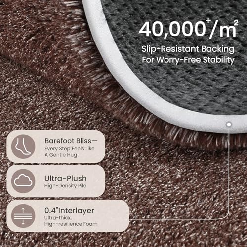 Area Rugs 9x12 for Living Room Bedroom (108 Sq Ft)