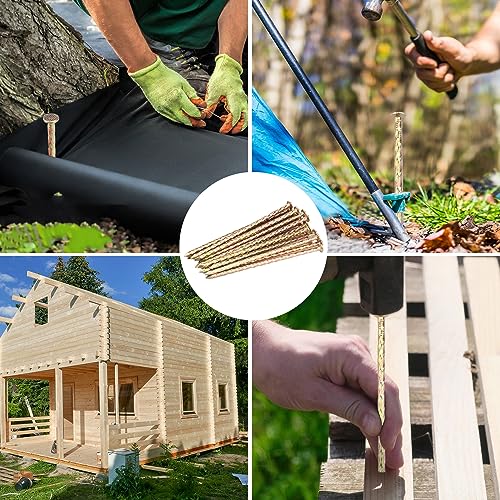 120 PCS 6 Inch Spiral Metal Galvanized Landscape Spikes (120 Count)