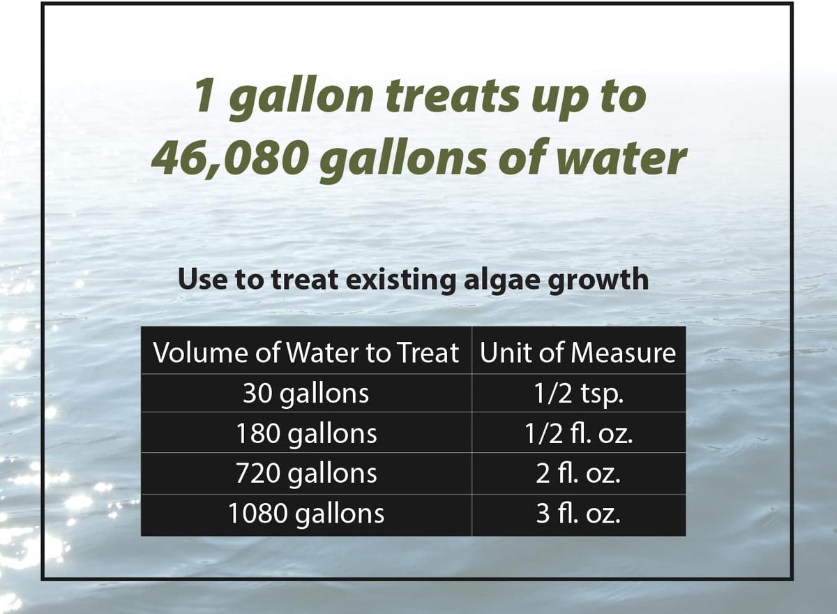 Bloom Buster Algae Control for Fish Ponds & Water Gardens - Gallon - Safe for Koi Fish, Goldfish & Plants - Controls Algae in Ponds & Water Features, EPA Registered