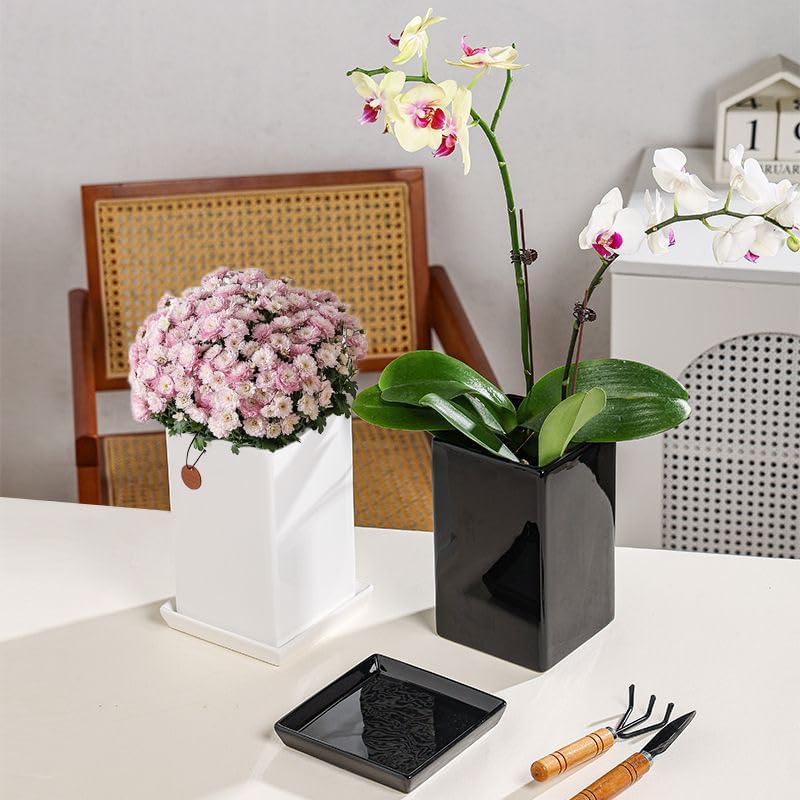 Square Plant Saucer 10 Inch 1 Pack，Plant Trays for Pots, White Ceramic Plant Saucers for Indoors Outdoors, Plant Drip Tray 4 6 8 10 12 14 Inch