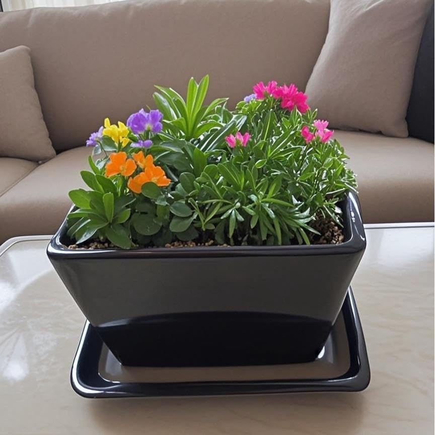 Square Plant Saucer 6 Inch 2 Pack，Plant Trays for Pots, Black Ceramic Plant Saucers for Indoors Outdoors, Plant Drip Tray 4 6 8 10 12 14 Inch