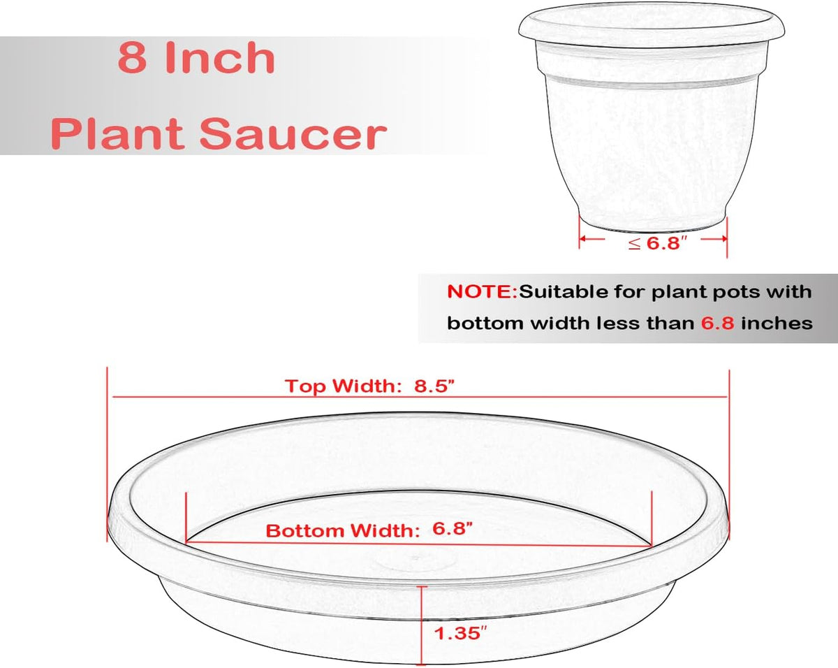 Plant Saucer 8inch 2 Pack