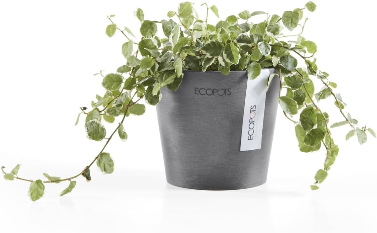 Ecopots Amsterdam Mini Durable Modern Round Recycled-Based Composite Flower Pot Planter, Grey, 4"