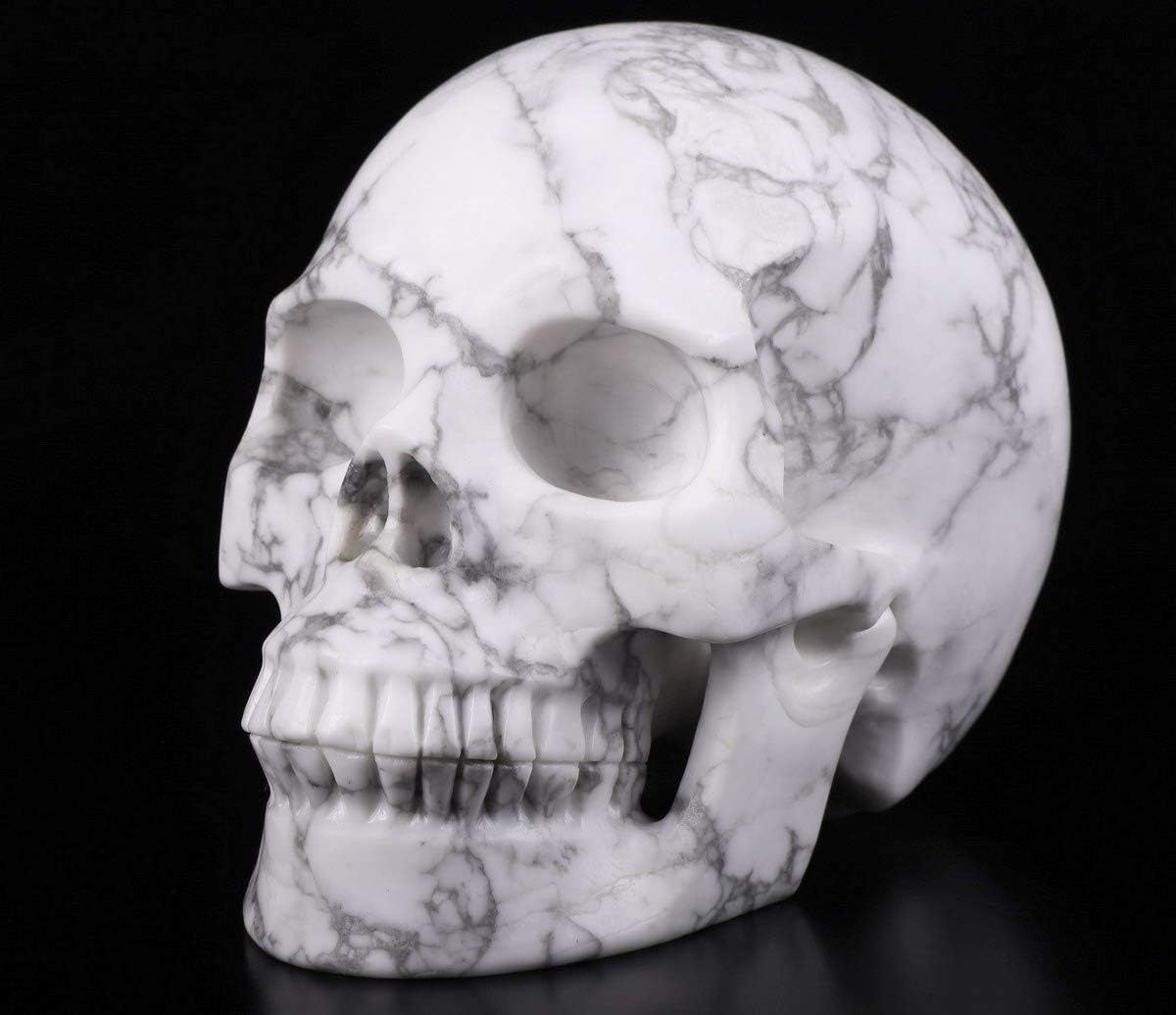 Skullis 5.0" Howlite Crystal Skull, Hand Carved Gemstone Fine Art Sculpture, Reiki Healing Stone Statue.