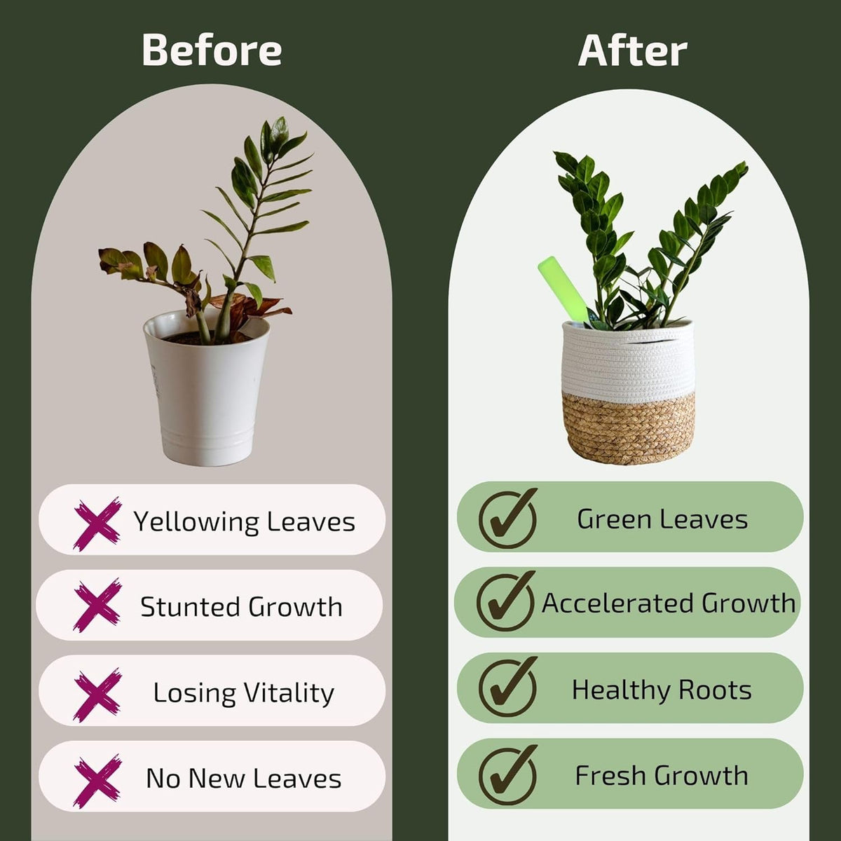 Plant Food for Houseplants | Ready-to-Use Indoor Plant Food Liquid, NPK Fertilizer & Plant Fertilizer Sticks (8 Drip Feeders)