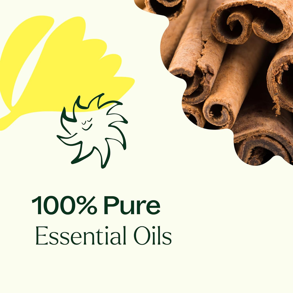 Plant Therapy Organic Fighter Essential Oil Blend 100% Pure, Undiluted, Therapeutic Grade 10 mL (1/3 oz)