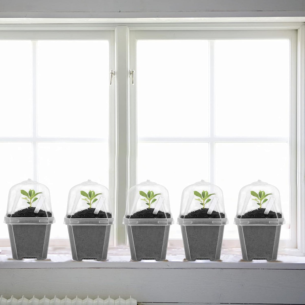 EBaokuup 10PCS Clear Plant Nursery Pots with Humidity Dome - 3" Plastic Gardening Pot with Labels, Durable Plastic Plant Container for Seedlings/Vegetables/Succulents/Cuttings