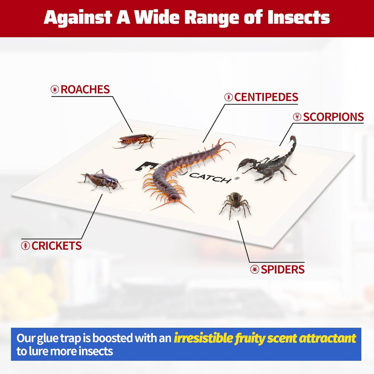 LULUCATCH Cricket Insect Glue Traps - 48 Pack Bug Sticky Traps, Large & Adhesive Spider Scorpion Trap with Pre-Baited Attractant, Highly Effective Glue Boards Indoor, Non-Toxic, Pet Safe Pest Control