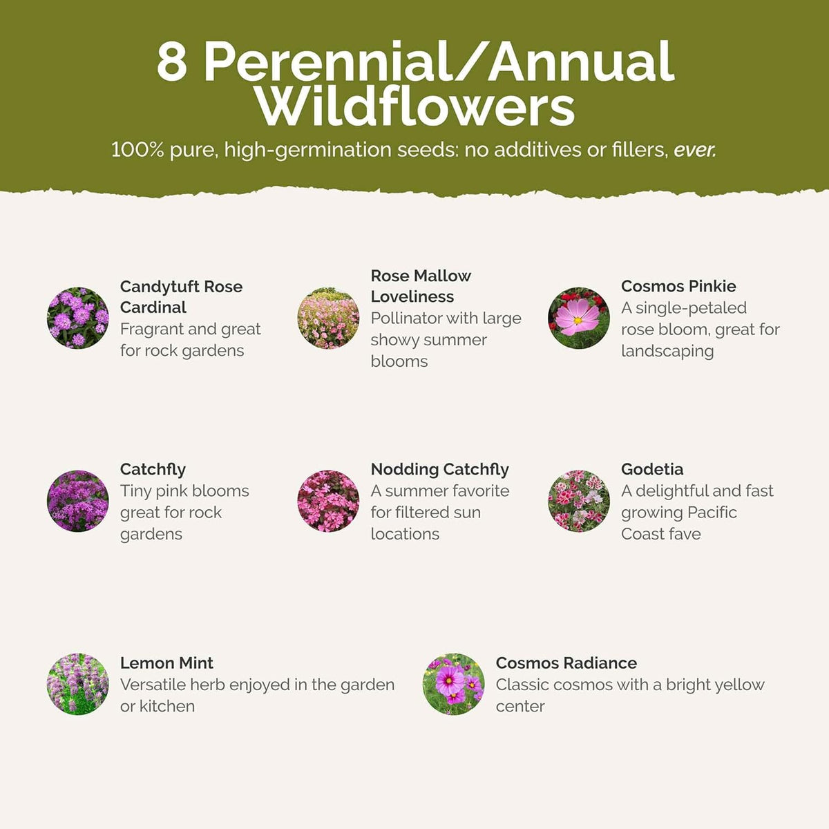 Eden Brothers Pretty in Pink Wildflower Mixed Seeds for Planting, 5 lb, 2,400,000+ Seeds with Candytuft, Rose Mallow | Attracts Pollinators, Plant in Spring or Fall, Zones 3, 4, 5, 6, 7, 8, 9, 10