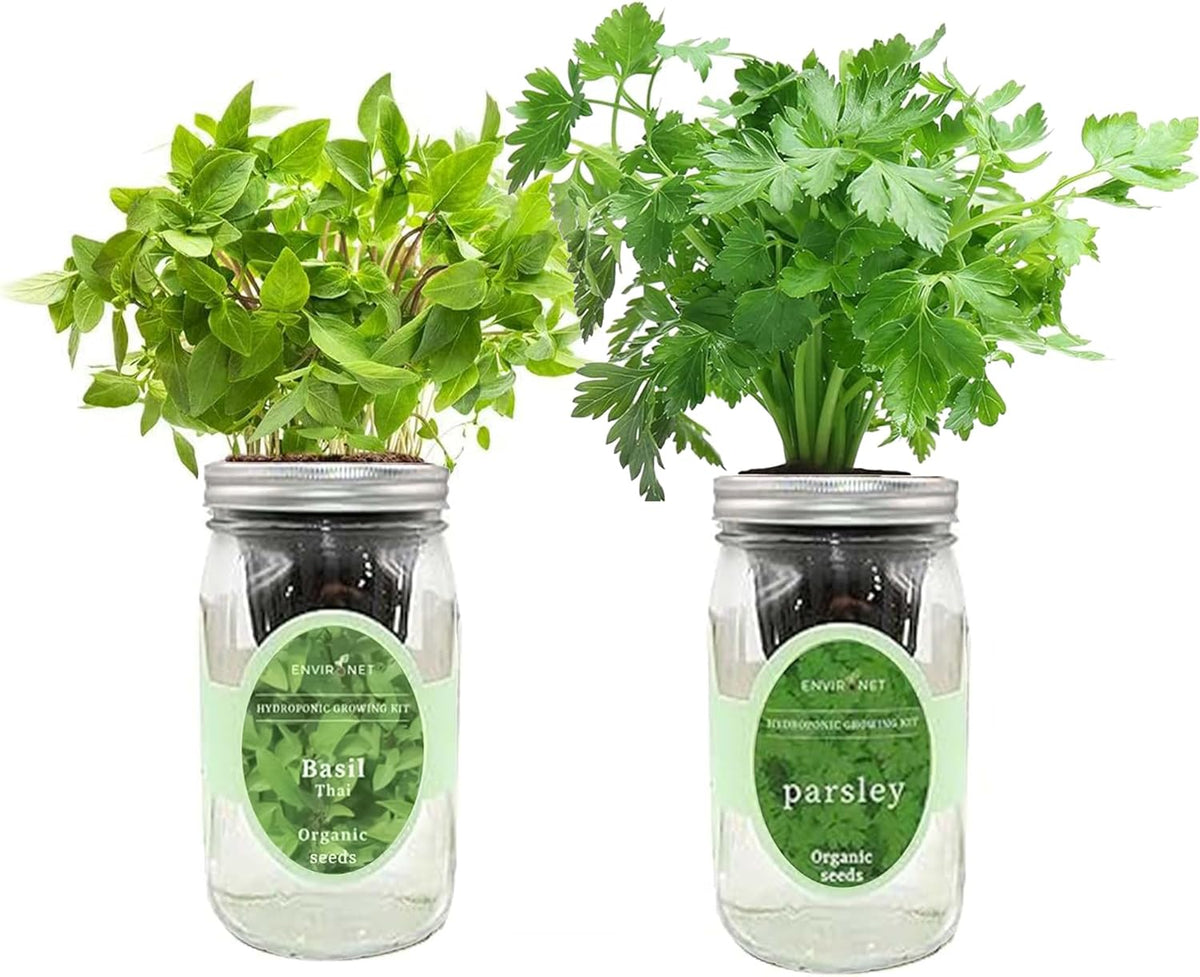 2-Pack Hydroponic Mason Jar Herb Garden Kit, Indoor Herb Garden Self-Watering Starter Kit (Thai Basil,Parsley)