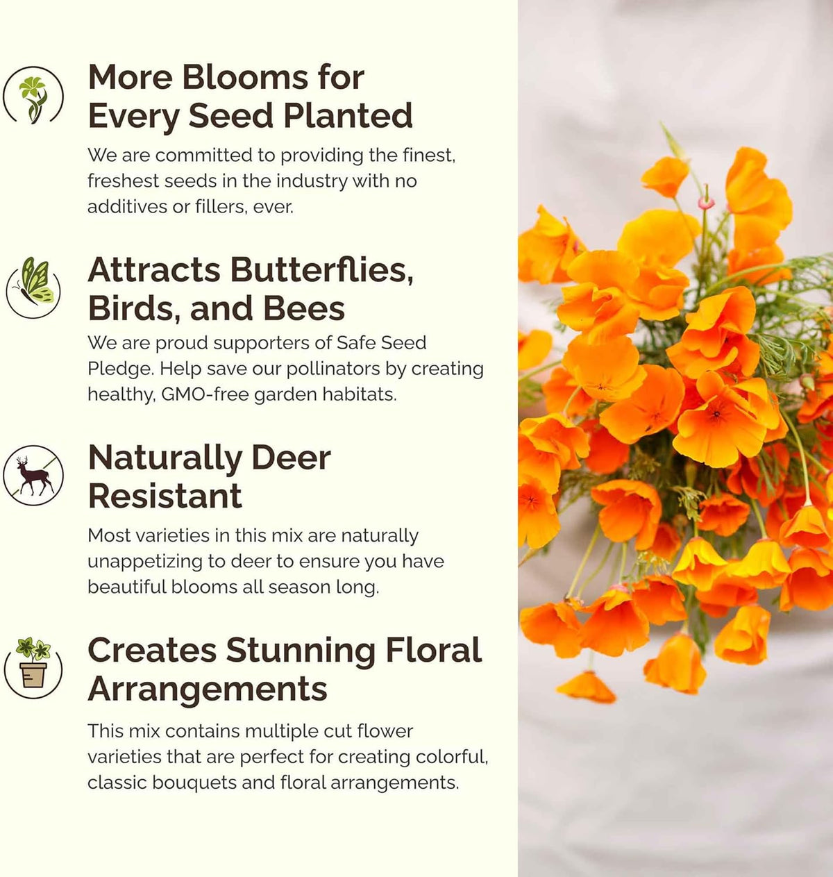 Eden Brothers Deer Resistant Wildflower Mixed Seeds for Planting, 5 lb, 2,400,000+ Seeds with Foxglove, Forget Me Not | Attracts Pollinators, Plant in Spring or Fall, Zones 3, 4, 5, 6, 7, 8, 9, 10