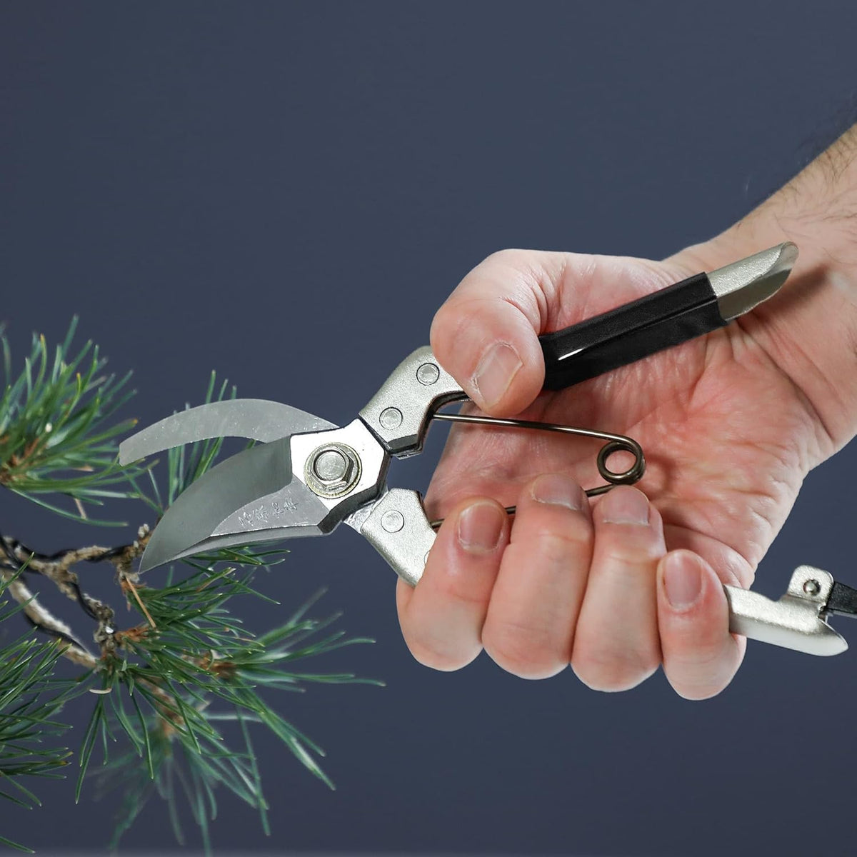 Wazakura Bypass Pruner (Stainless Steel) TypeB Kazuyuki Ishihara model