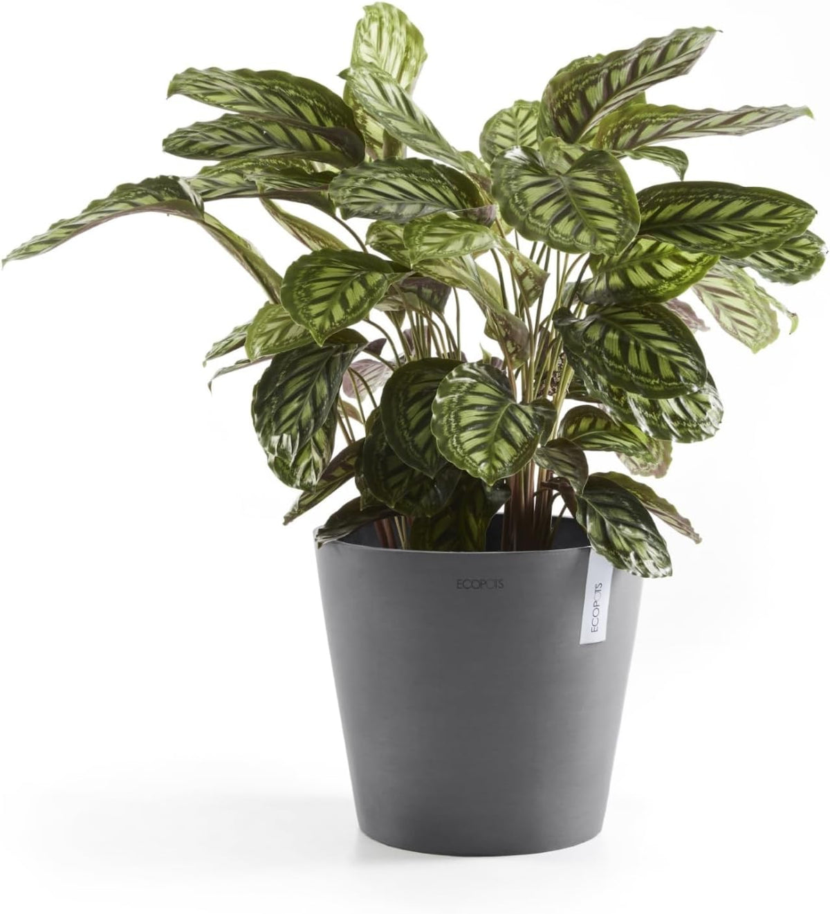 Ecopots Amsterdam Durable Modern Round Indoor/Outdoor Recycled-Based Composite Flower Pot Planter, Grey, 10"