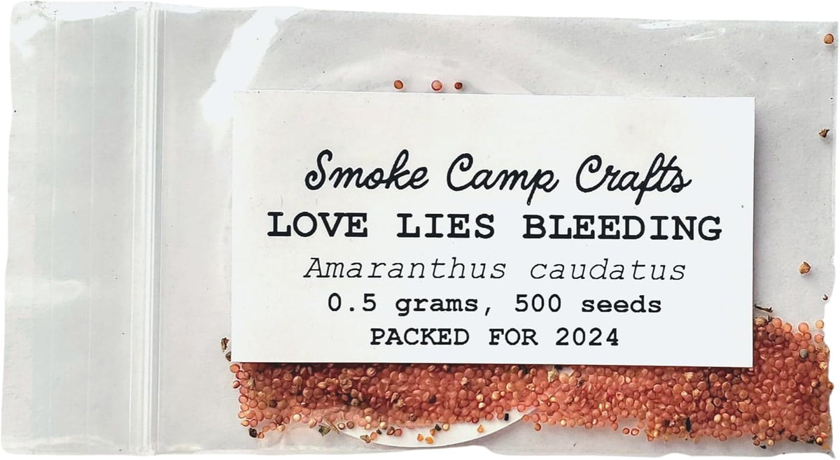 Organic Love Lies Bleeding Seeds (Amaranthus caudatus) 500 Seeds (0.5 Grams) - Foxtail Amaranth, Love-Lies Bleeding, Tassel Flowe, Velvet Flower, Gorgeous Unique Cut Flower by Smoke Camp Crafts