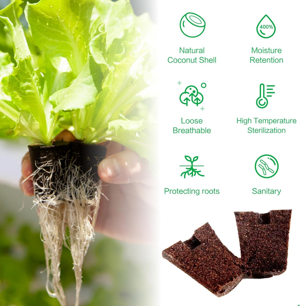 50 Pack Round hydroponic Growth Sponge, Suitable for Indoor and Outdoor hydroponic Gardens, Seed Germination, Plant Rooting, Vegetable Cultivation, Flower Arrangement