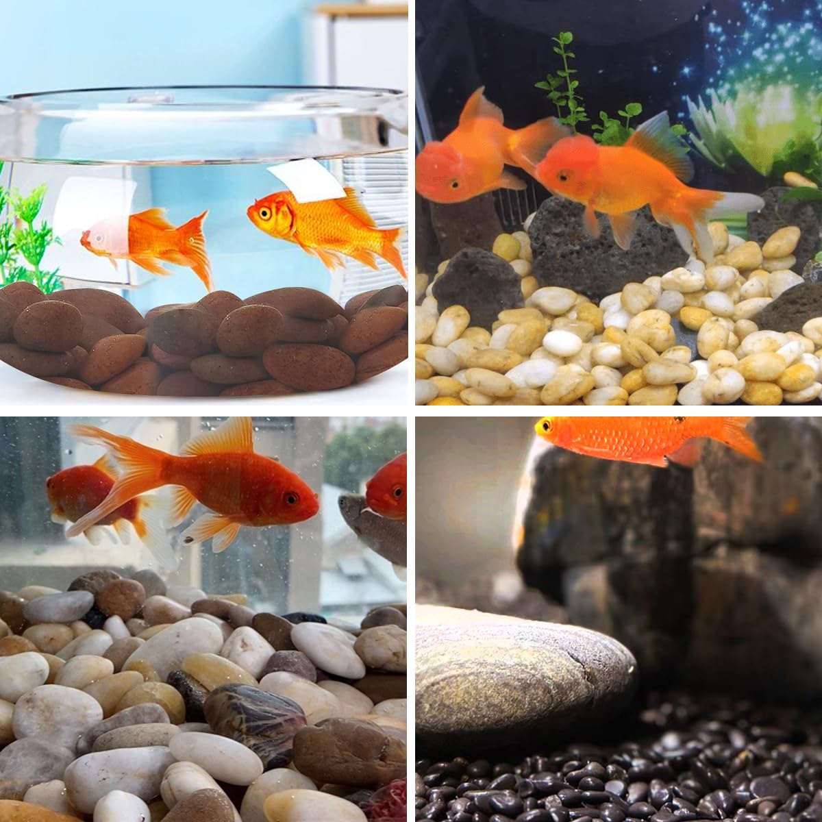 40lbs Red River Rocks for Landscaping, 2-3 Inch Natural Pebbles for Indoor Plants, High Polished Decorative Stones Garden Outdoor and Indoor DIY Vase Filler Fish Tank Aquariums