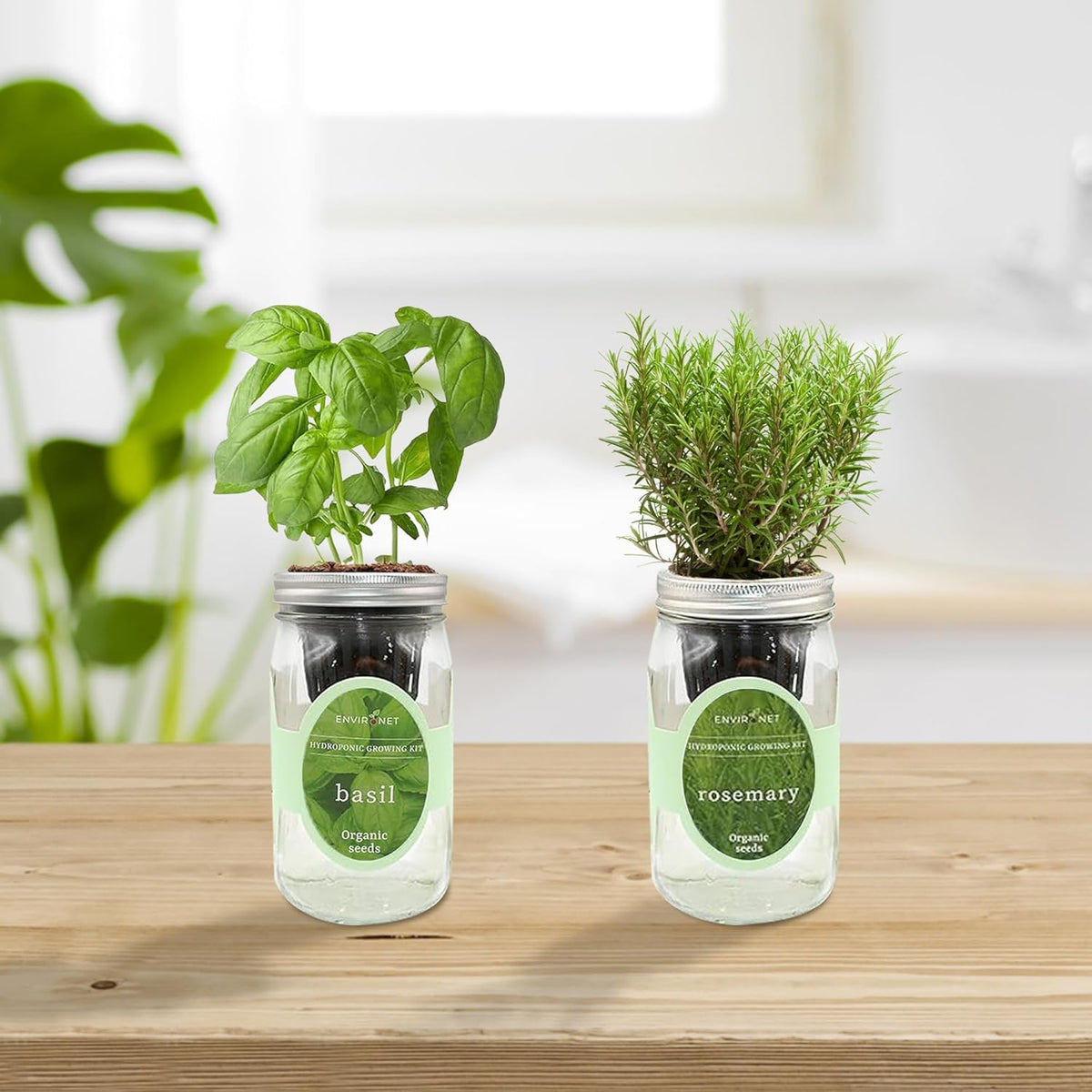 2-Pack Hydroponic Mason Jar Herb Garden Kit, Indoor Herb Garden Self-Watering Starter Kit (Basil,Rosemary)