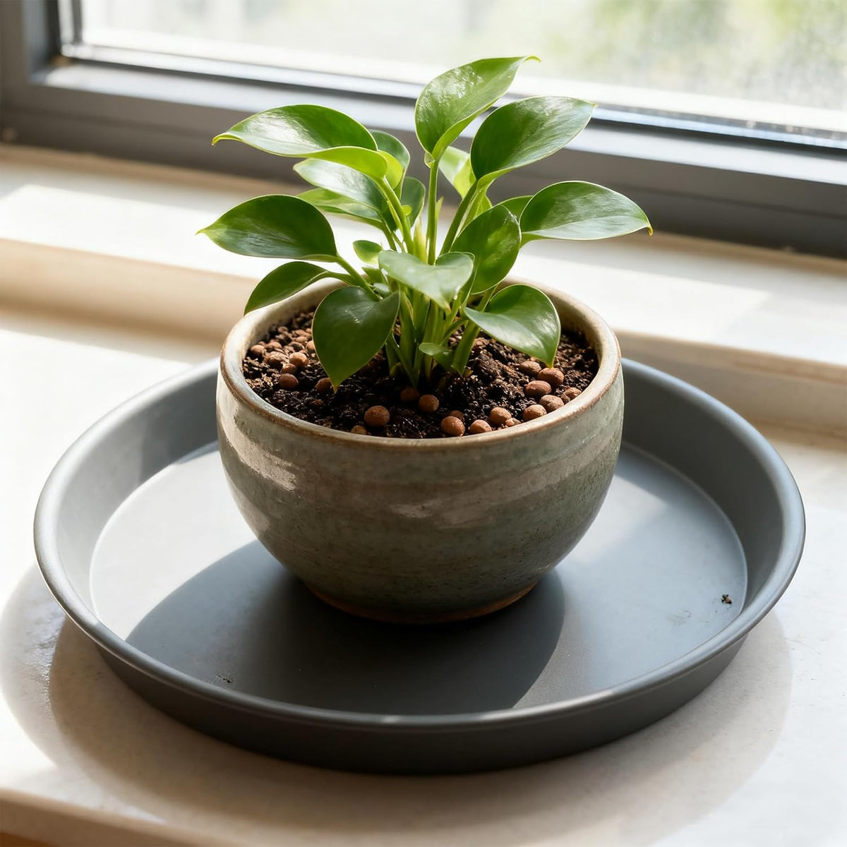 TITE Plant Saucer Heavy Large Planter Durable Thicker Plastic Plant Trays for Indoors and Outdoor,Plant Saucer Drip Trays (Grey, 14 inch)