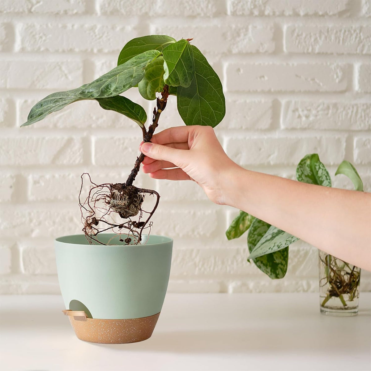 Indoor Plant Pots With Drainage Holes and Saucers Planting Pots for All HousePlants Green Plastic Flower Pots with Drainage Hole Self Watering Plant Pot Gift Idea For Home Decor Succulent Pots