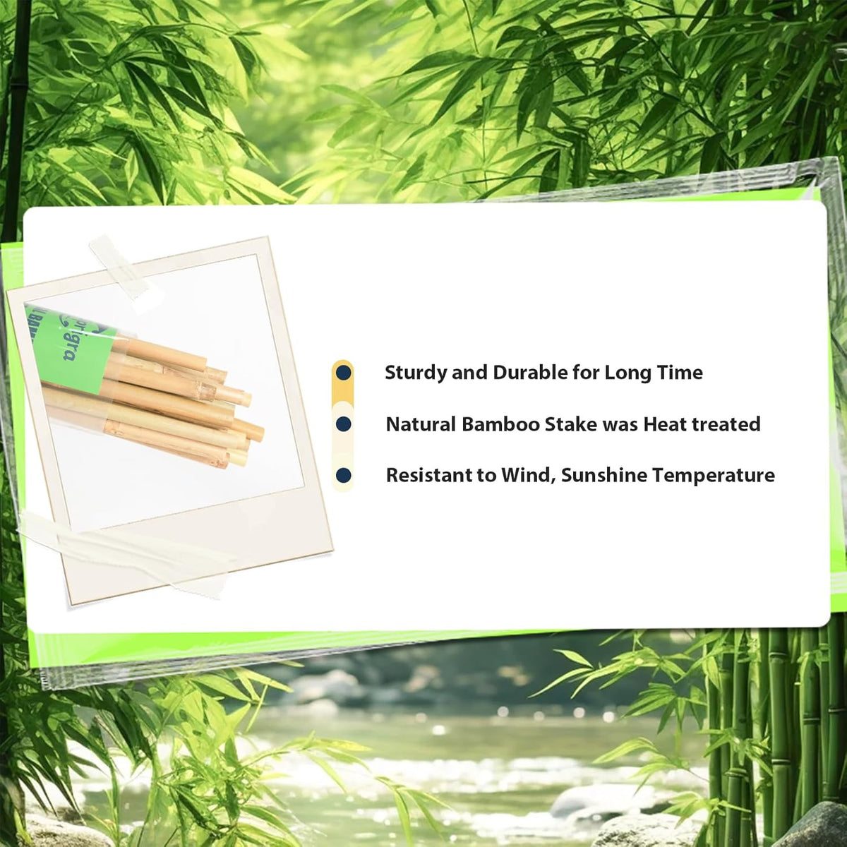 Bamboo Stakes 7 Feet, 84 inch Garden Stakes Multi-Purpose, Bamboo Plant Support Stakes for Tomatos, Beans, Cucumbers, Peppers, Potted Trees, Maintain The Plant Posture, Strengthen and Stem