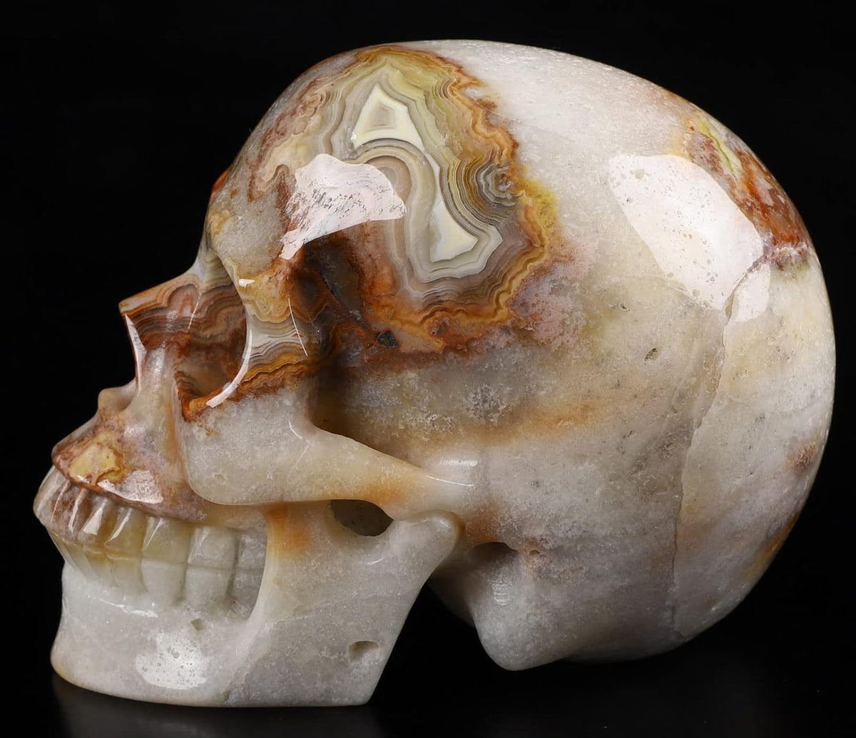 Skullis 5.0" Red Crazy Lace Agate Crystal Skull, Hand Carved Gemstone Fine Art Sculpture, Reiki Healing Stone Statue.397 Z8