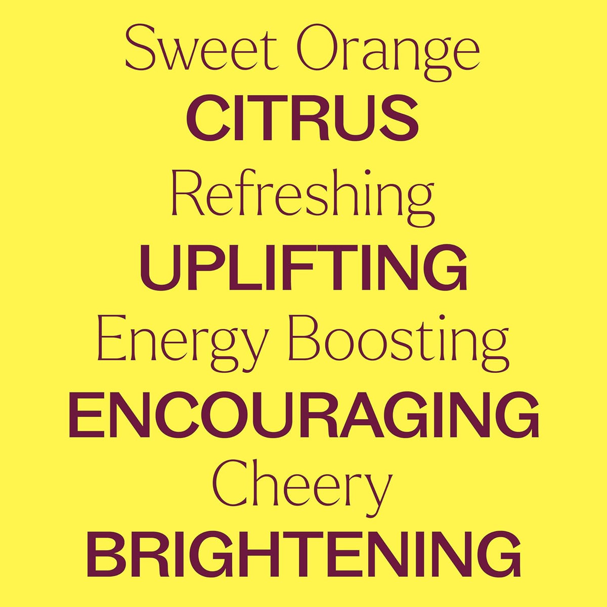 Plant Therapy Sweet Orange Organic Essential Oil 100% Pure, USDA Certified Organic, Undiluted, Natural Aromatherapy, Therapeutic Grade 30 mL (1 oz)