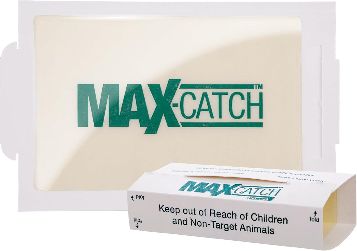 Catchmaster Max-Catch Mouse & Insect Glue Trap 72PK, Mouse Traps Indoor for Home, Sticky Pest Control Adhesive Tray for Catching Bugs, Non Toxic Bulk Unscented Glue Boards