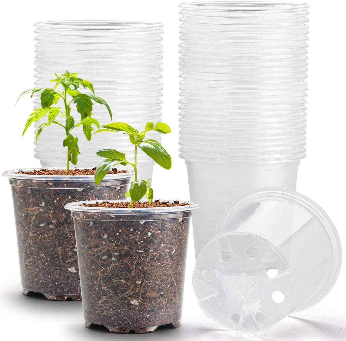 3.5" Clear Seeding Pots 100-Pack Round for Seeds Starter Pots, Seeds Germination Transparent Nursery Pots with Drainage Holes (100PCS)