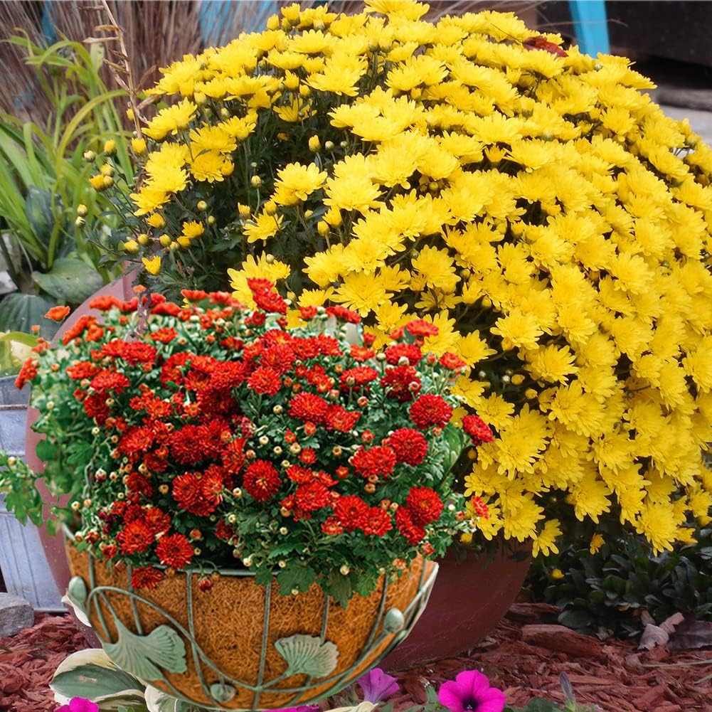 4PCS Coco Liner for Hanging Basket 14 Inch Round 100% Natural Planter Liner Replacement Plant Basket Liners Coco Fiber Liner for Garden Planters Coconut Coir Liner Flower Pot for Hanging Basket