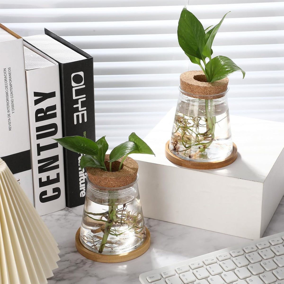 Baderke 12 Packs Plastic Desktop Vase with Hole Lid and Bamboo Stand Plant Propagation Stations Plant Growing in Water Hydroponic Home Office Table Decoration (Fresh Style)
