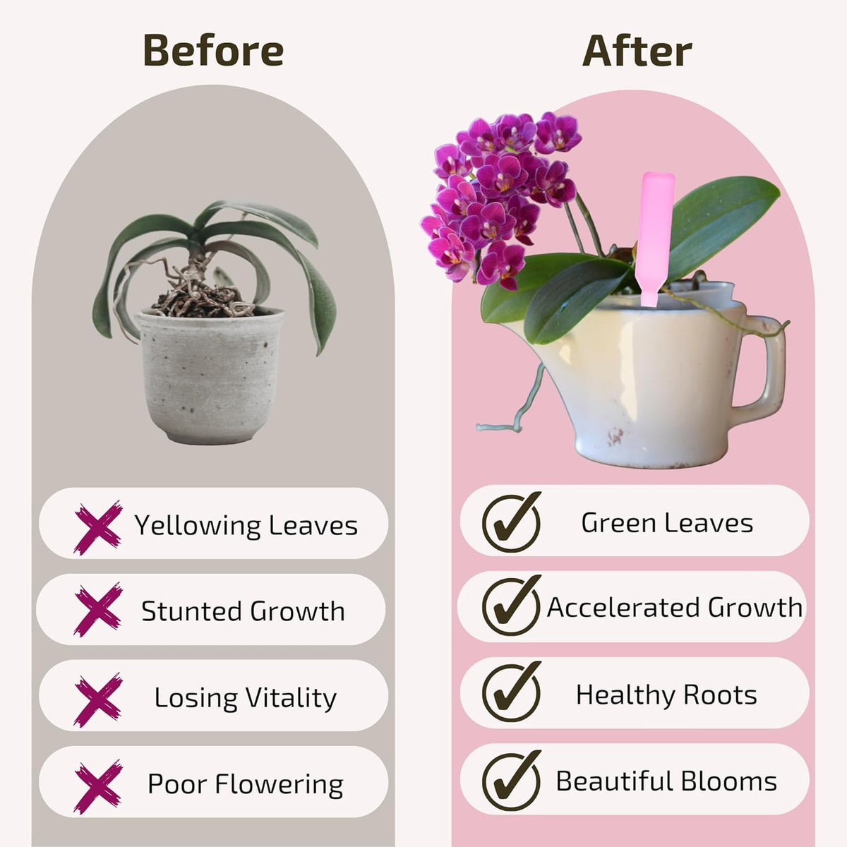 Liquid Orchid Fertilizer Spikes | Ready-to-Use Orchid Food Spikes & Orchid Plant Food for Blooming, Fertilizer for Orchids (8 Drip Feeders)