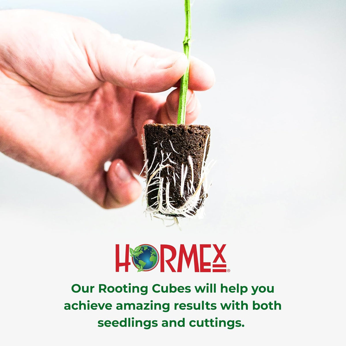 Hormex Rooting Cubes - Peat Moss & Coco Plugs for Cloning Plants from Cuttings and Seed Starting - Organic Plant Starter for Strong Root Growth - Ideal for Home, Indoor and Outdoor Gardening - 50 Pack