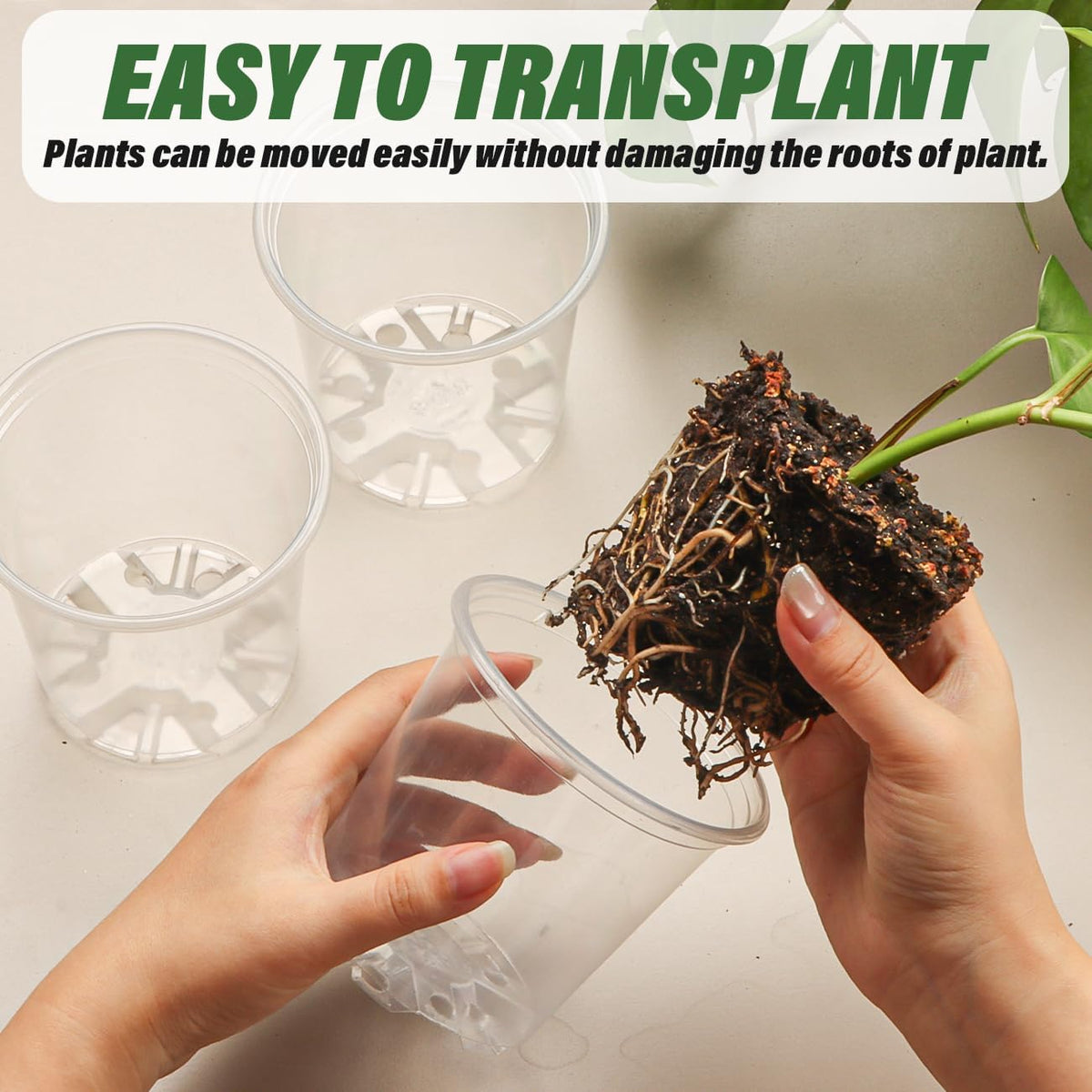 3.5" Clear Seeding Pots 100-Pack Round for Seeds Starter Pots, Seeds Germination Transparent Nursery Pots with Drainage Holes (100PCS)