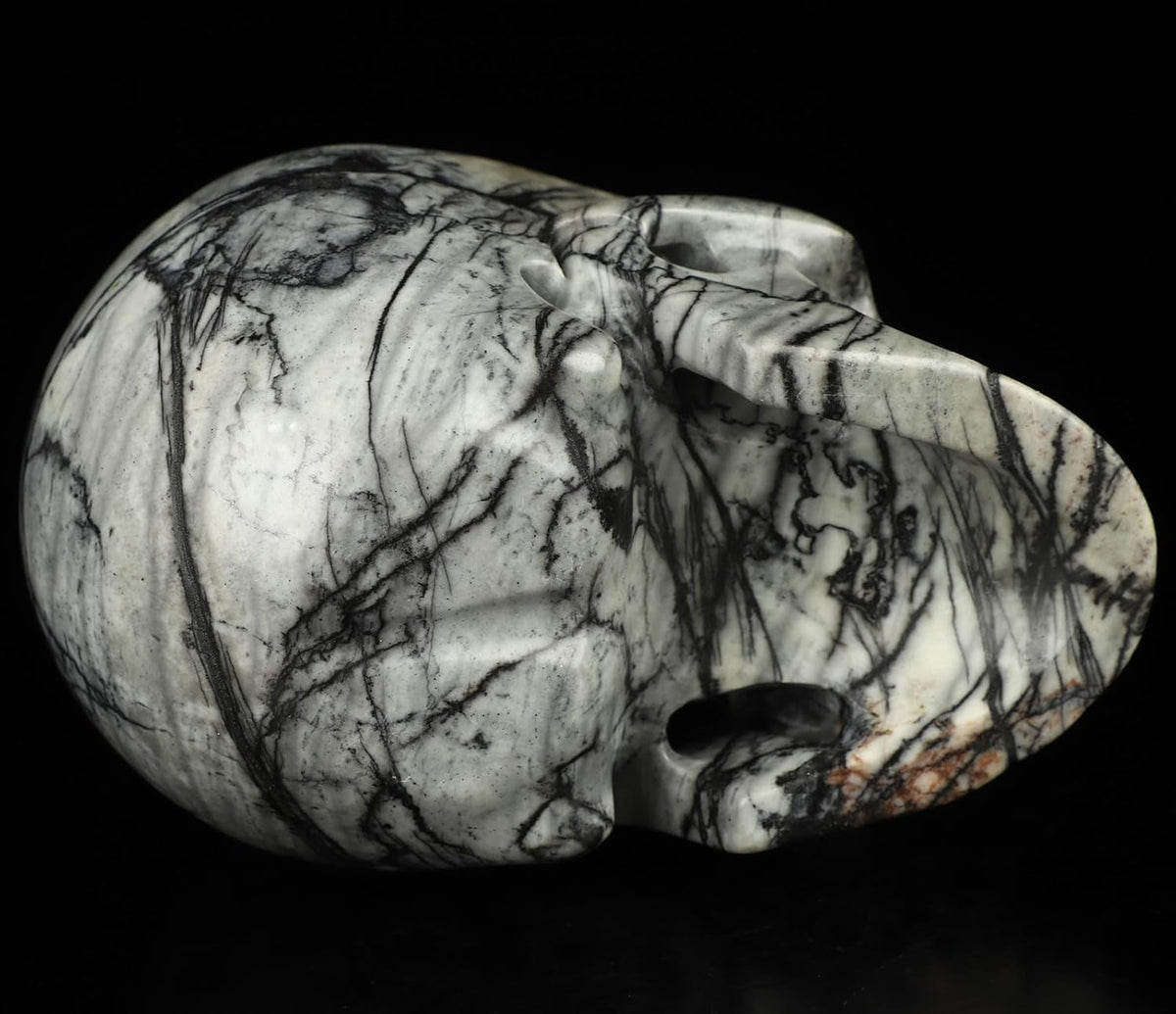 Skullis 5.0”Picasso Jasper Crystal Skull, Hand Carved Gemstone Fine Art Sculpture, Reiki Healing Stone Statue.3159