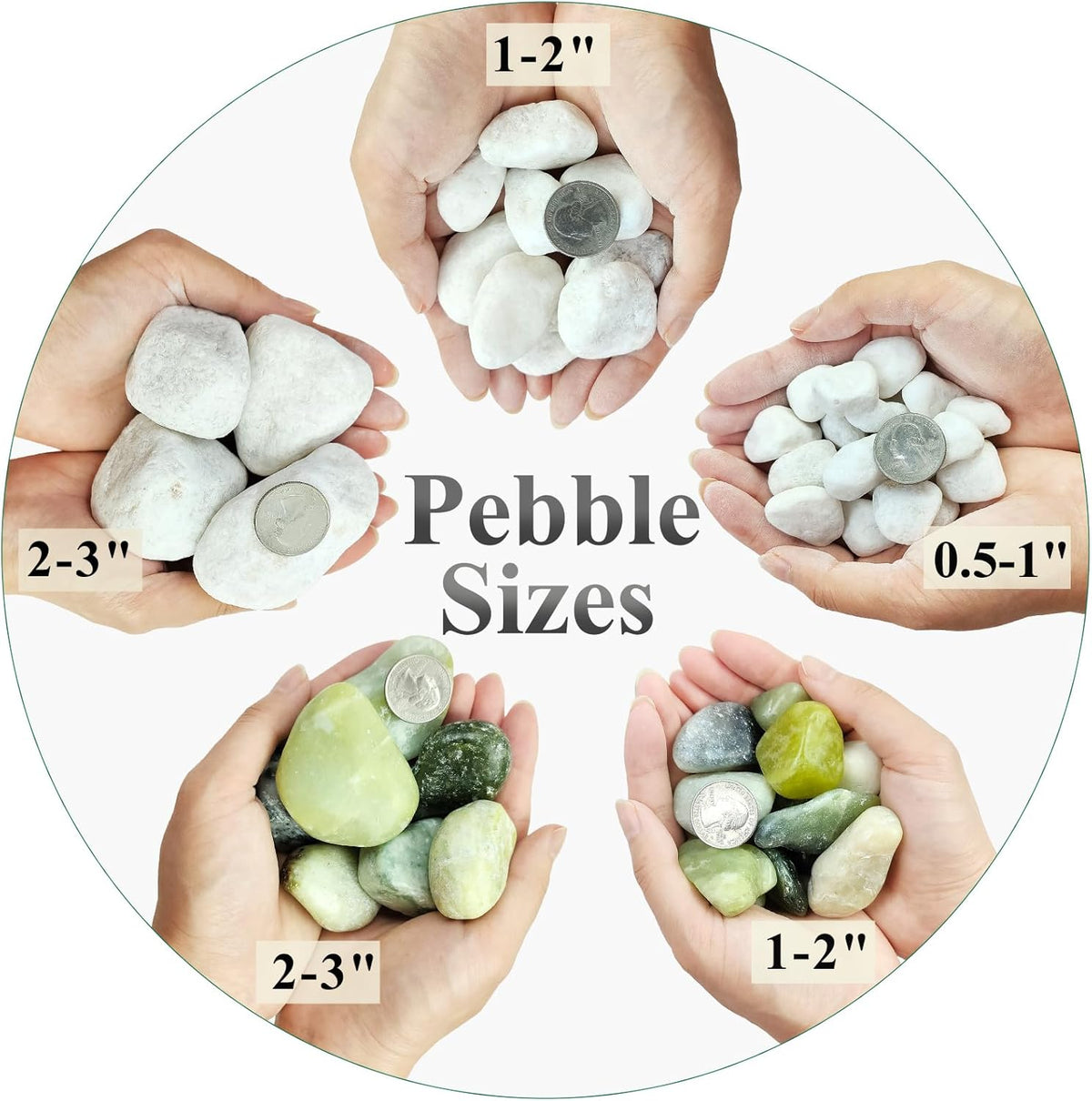 10 lbs White River Rocks for Garden, 0.5-1 Inch Pebbles for Indoor Plants, Decorative Stones for Landscaping, Succulent, Vases, Aquariums and Zen Garden
