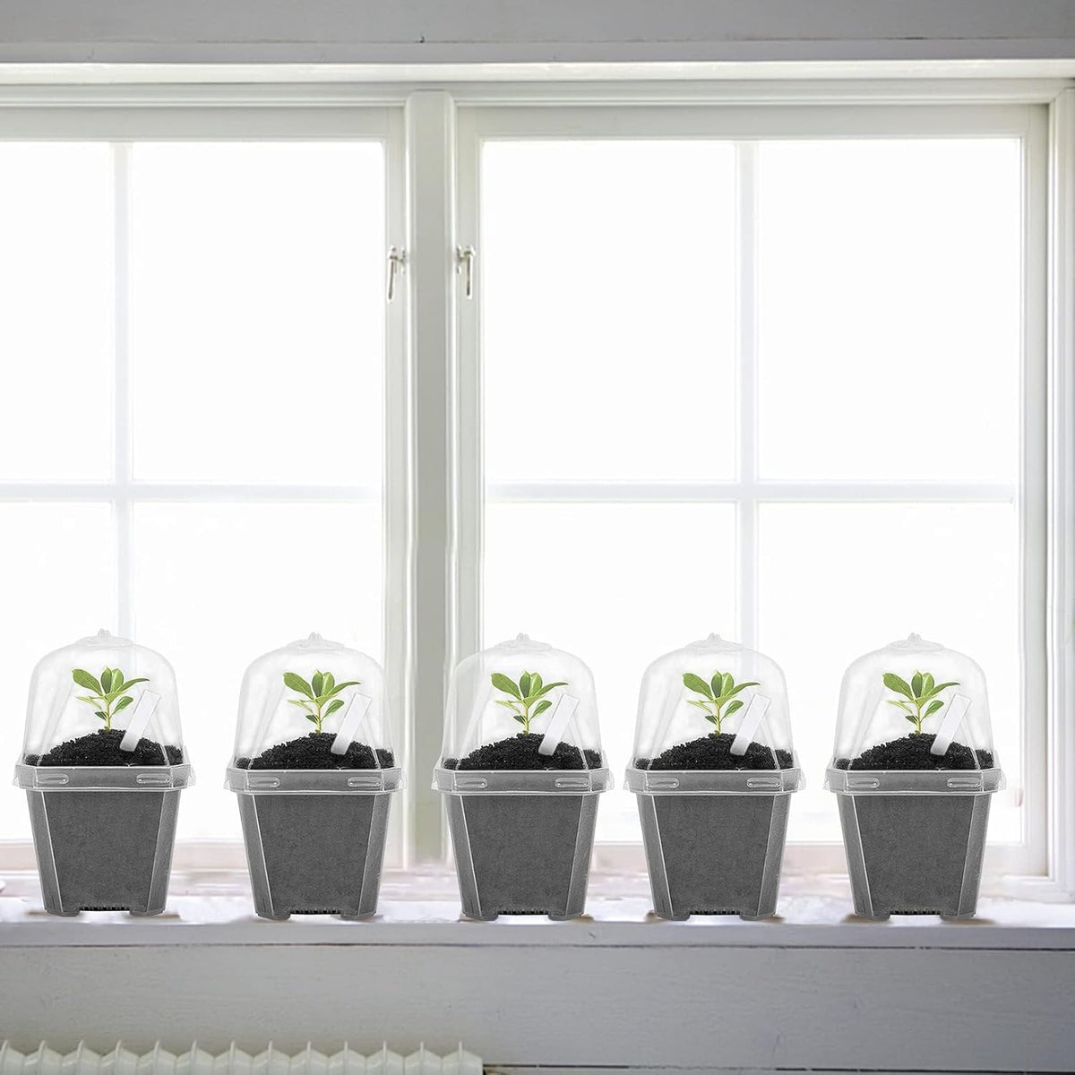 EBaokuup 50 Pcs Clear Plant Nursery Pots with Humidity Dome-3" Reusable Plastic Gardening Pot with Labels-Small Seed Starting Pots for Seedlings,Vegetables,Succulents,Cuttings