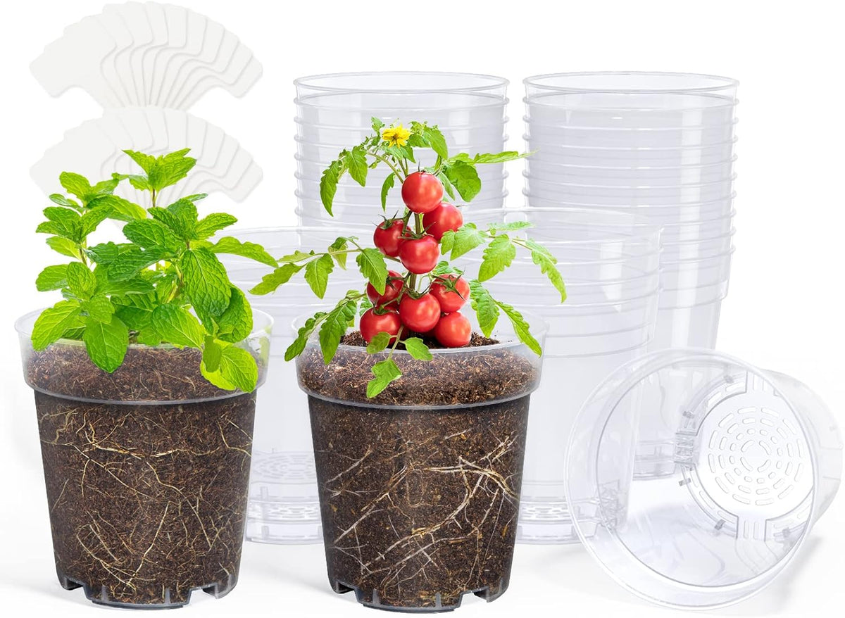 homenote Clear Nursery Pots for Plants,5 Inch Plant Pot for Planting Plastic Seedling with Drainage Holes Seed Starter Flower High Transparency with 20 Labels (30 Pack)