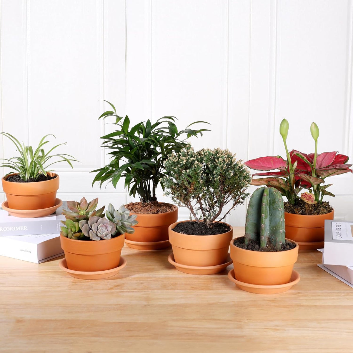 INGOFIN 5 Inch Terracotta Shallow Pots Set with Saucer - Ceramic Clay Pots with Drainage Hole, Terra Cotta for Plants for Indoor Outdoor Plants, Set of 6
