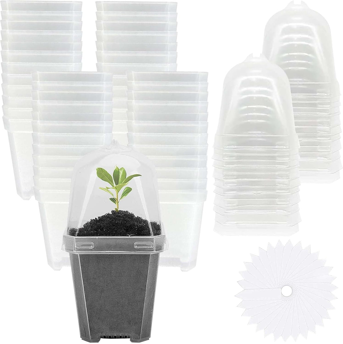 EBaokuup 50 Pcs Clear Plant Nursery Pots with Humidity Dome-3" Reusable Plastic Gardening Pot with Labels-Small Seed Starting Pots for Seedlings,Vegetables,Succulents,Cuttings