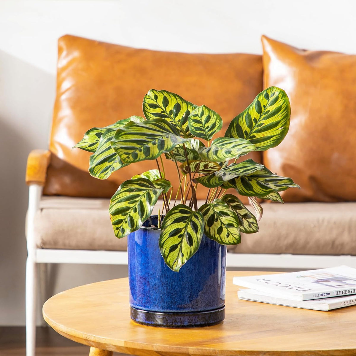 vancasso Ceramic Plant Pots, 3 Piece Planters for Indoor Plants, 4.25+5.25+6.25 Inch Flower Pots with Drainage, Plant Pots Indoor for Succulent, Pothos, Snake Plant and Money Tree, Etc (Blue)