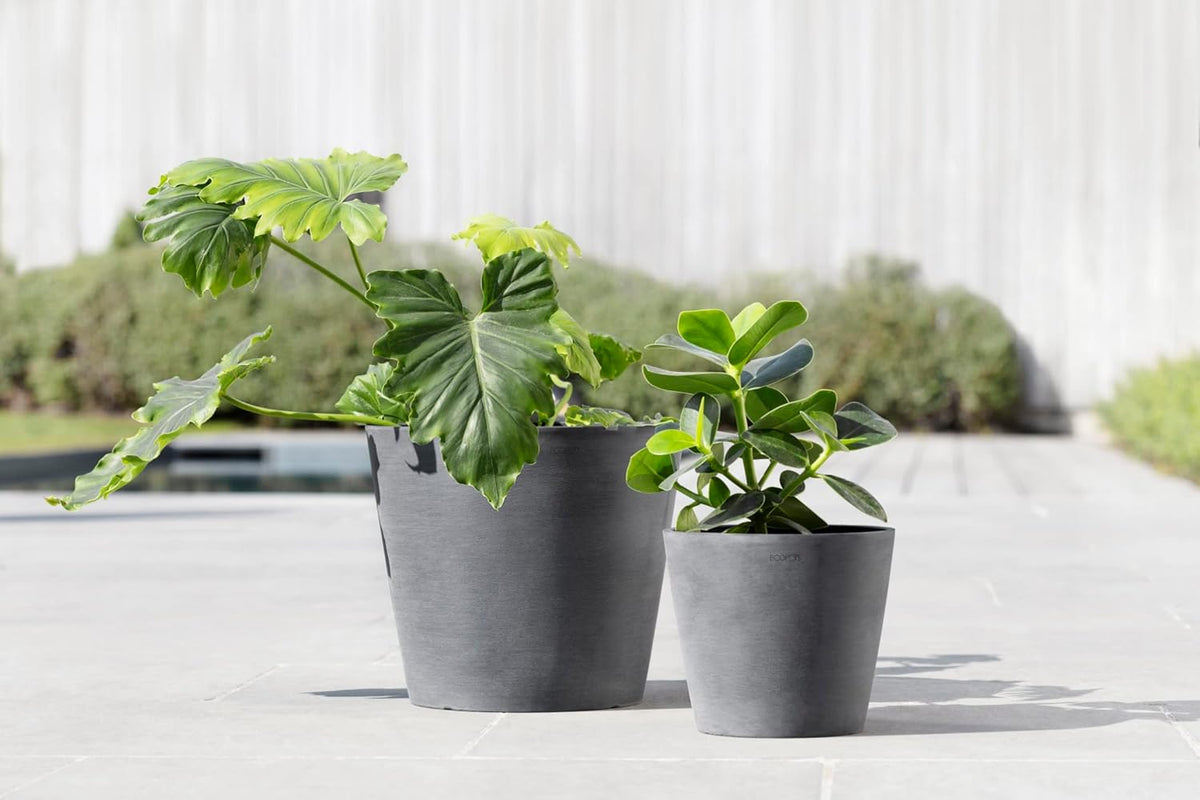 Ecopots Amsterdam Durable Modern Round Indoor/Outdoor Recycled-Based Composite Flower Pot Planter, Grey, 8"