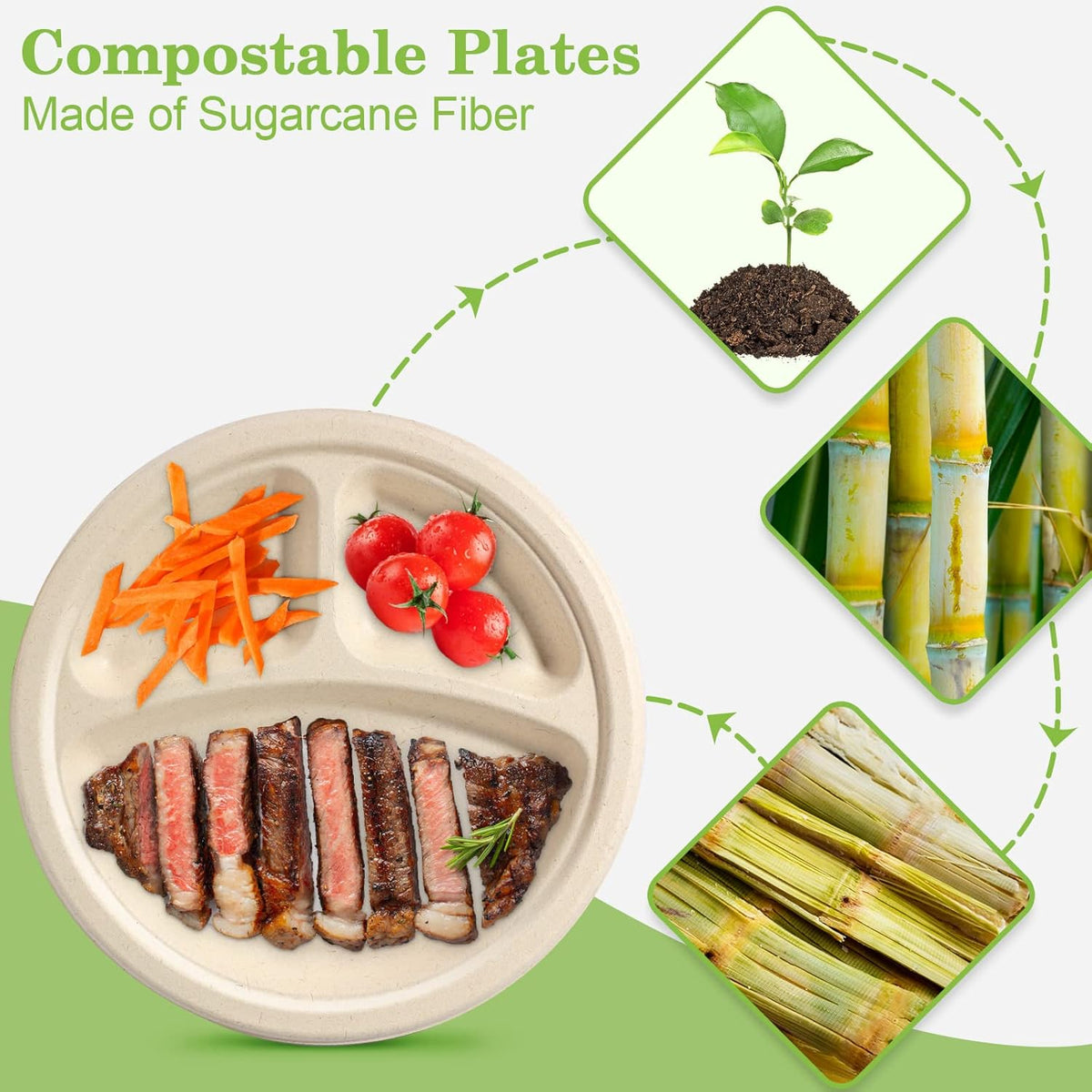 Compartment Plates - Disposable, 9 inch, 100 Pack, Biodegradable, Heavy Duty with Dividers